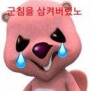 샐러드바스켓제주 이미지