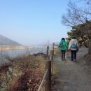 낙동강 남지개비리길(용산) 이미지