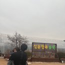 인천 서울근교 딸기체험 무한먹방 가능! 삼훈행복농원