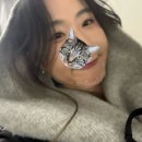 피바이드 네이버블로그