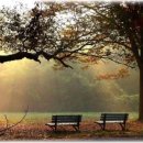 산장의 여인 이미지