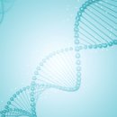 미래셀의원 이미지