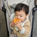 지한약국 이미지