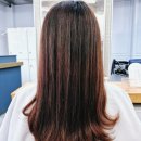 뷰티 여행 신정역 미용실 밀본 클리닉 받은 후기