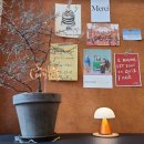 이노프라 이미지