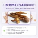 더샵짱 이미지