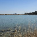 태평태양광발전소 이미지