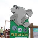 엘도라도 이미지