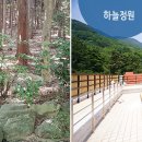 엘앤더슨병원 이미지