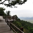 숲에 머물다 이미지