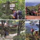 북단양농협적성지소 | [스크랩] 절경 단양팔경 산자락에