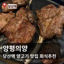 양평의양 | 당산 맛집 양평의양 당산역 양갈비 전문점 양고기 맛집 후기 및 당산동 회식