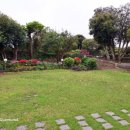 세화 동백그늘 이미지