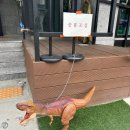 수원 행궁동 뚜벅이 당일치기 여행☀️ 소품샵투어
