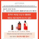 스멜로우 - 진주시 신평공원길57번길 18-4 | 스멜로우
