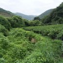 신용농원 이미지