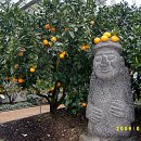 감귤박물관 이미지