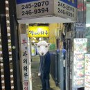 양과의하루숯불양꼬치 - 중구 광복로 22-5 | [부산 부평동] 양과의 하루 숯불양꼬치 남포점 본점 내돈내산 후기