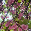 연세본병원 이미지