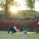이웃님들 오랜만이에요 !! 저 요즘 이러고 살아요 :D (갠적인이야기)