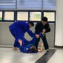 미르 주짓수 유도관 이미지