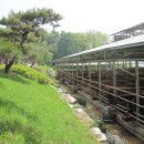 도은축산 이미지