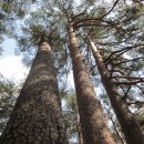 바우길 10구간 이미지