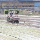 고흥2농장 이미지