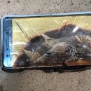 제기20 이미지