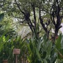 [남부] 웰빙요가 A | 인도네시아 발리 울루와투 알케미 요가 Alchemy Yoga...Center Uluwatu Fire(불)수업 phil(필) 쌤 후기