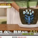 화분들닷컴 이미지
