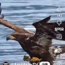 #️⃣양파의 성분*️⃣효능 *️⃣섭취방법 이미지