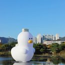 더기