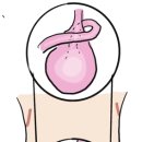 정 동물병원 이미지