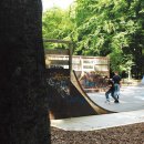 숲속유치원 이미지