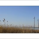 오이도역 이미지