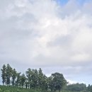 하례광장로 이미지