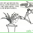 한국춘란의 칠월(7월)달 배양관리/반과현상과 단상 이미지