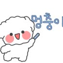 오션트리 이미지