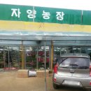 자양농장 이미지