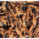 순우리인삼 이미지