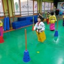한국체대 비전태권도 | 인천 계양구 한국체대비전태권도, 주차, 리뷰, 후기