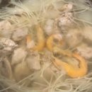 산청토박이 이미지