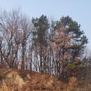 중마 그라운드골프장 | 순천파크골프장 코스 살펴보기 및 자격증 자랑