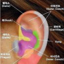 루시퍼피어싱