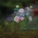 대관령아름다운펜션 이미지