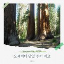 요세미티 투어 당일치기 3곳 비교 분석 가야 할 코스부터 가격까지