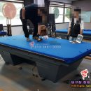 골든큐당구클럽