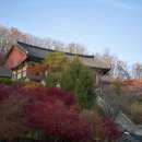 성지태권도 이미지