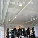 파라다이스짐필라&요가